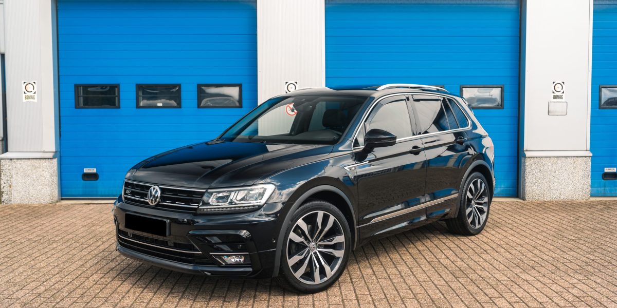 DSC08349-bewerkt - kopie